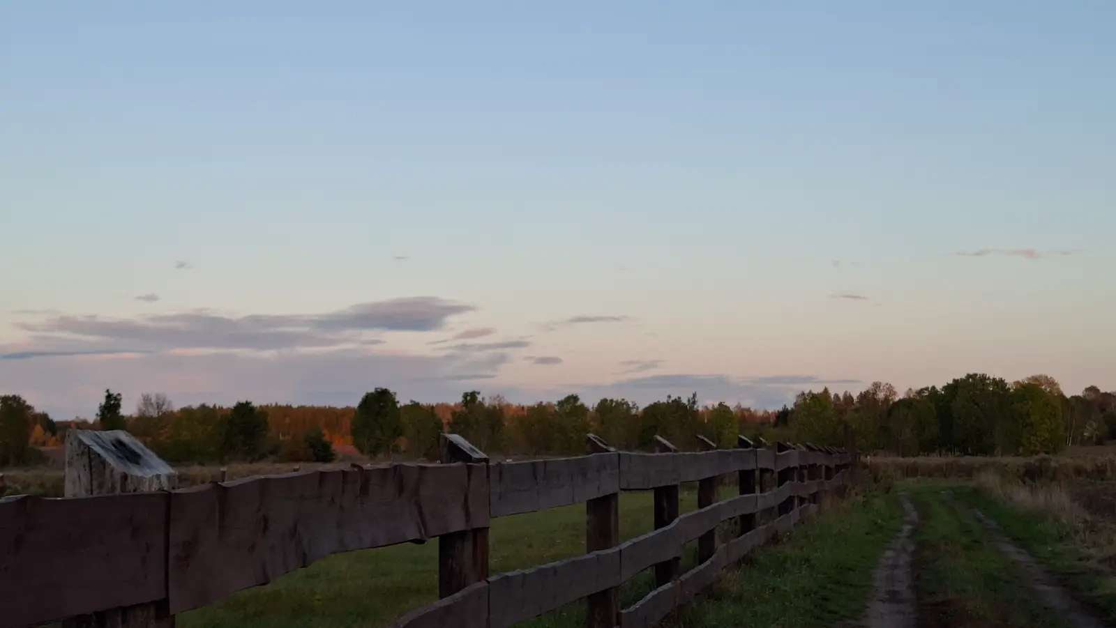 Krajobraz przedstawia sielską, wiejską scenerię o zachodzie słońca, utrzymaną w panoramicznym układzie poziomym o proporcjach 16:9. Na pierwszym planie widać długi, drewniany płot typu ranczo, który biegnie wzdłuż nieutwardzonej, polnej drogi prowadzącej w głąb kadru. W tle rozciąga się pasmo gęstych drzew o jesiennym zabarwieniu, skąpanych w ciepłym świetle kończącego się dnia. Niebo zajmuje znaczną część kompozycji, prezentując delikatne przejścia kolorystyczne od jasnego błękitu po subtelne, pastelowe odcienie różu. Całość fotografii buduje spokojny, nostalgiczny klimat typowy dla polskiej wsi w okresie wczesnej jesieni.