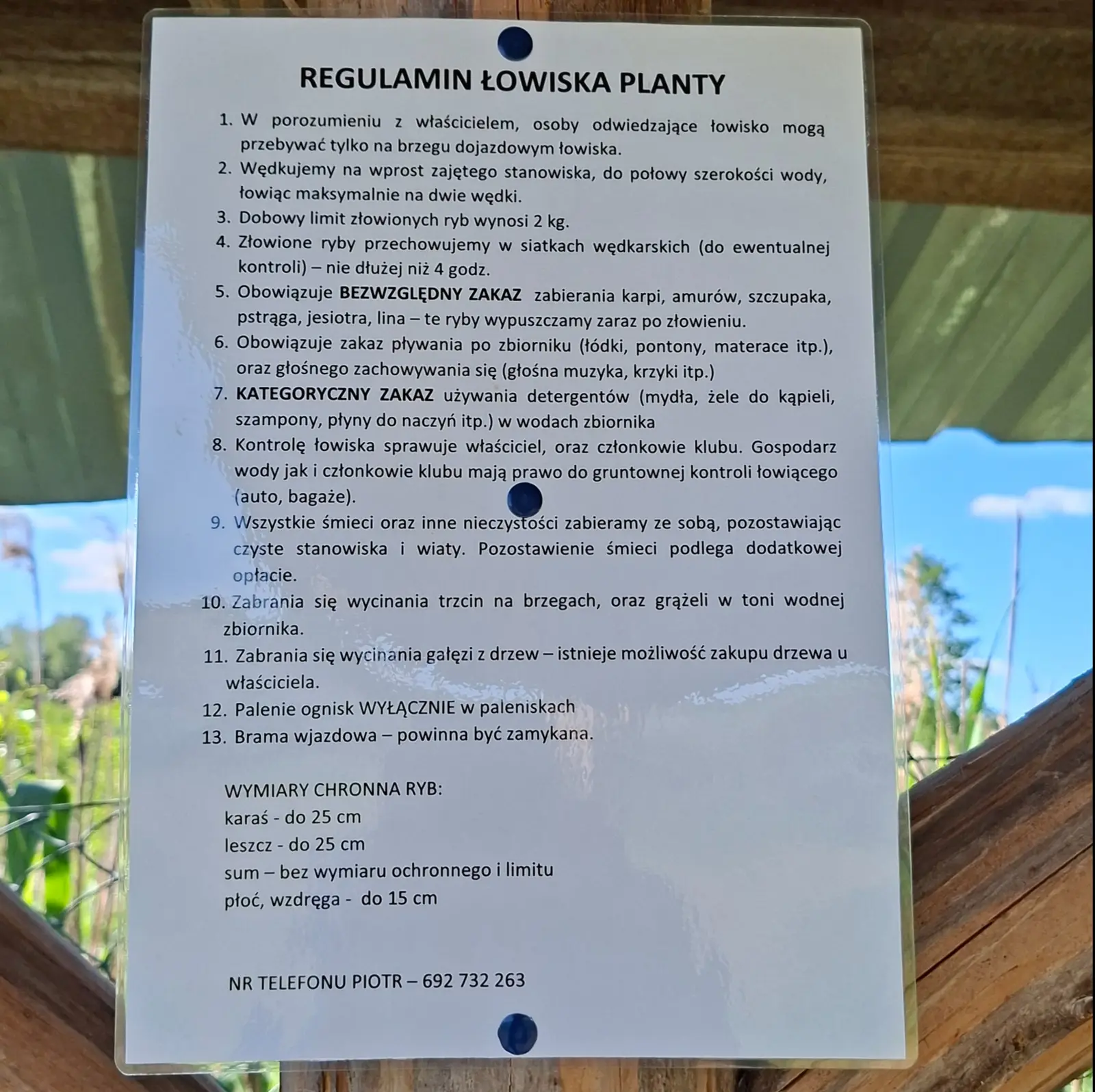 Zdjęcie przedstawia pionowy prostokątny regulamin łowiska "Planty" przymocowany niebieskimi pinezkami do drewnianej konstrukcji wiaty. Dokument zawiera następujący tekst: „REGULAMIN ŁOWISKA PLANTY. 1. W porozumieniu z właścicielem, osoby odwiedzające łowisko mogą przebywać tylko na brzegu dojazdowym łowiska. 2. Wędkujemy na wprost zajętego stanowiska, do połowy szerokości wody, łowiąc maksymalnie na dwie wędki. 3. Dobowy limit złowionych ryb wynosi 2 kg. 4. Złowione ryby przechowujemy w siatkach wędkarskich (do ewentualnej kontroli) – nie dłużej niż 4 godz. 5. Obowiązuje BEZWZGLĘDNY ZAKAZ zabierania karpi, amurów, szczupaka, pstrąga, jesiotra, lina – te ryby wypuszczamy zaraz po złowieniu. 6. Obowiązuje zakaz pływania po zbiorniku (łódki, pontony, materace itp.), oraz głośnego zachowywania się (głośna muzyka, krzyki itp.). 7. KATEGORYCZNY ZAKAZ używania detergentów (mydła, żele do kąpieli, szampony, płyny do naczyń itp.) w wodach zbiornika. 8. Kontrolę łowiska sprawuje właściciel, oraz członkowie klubu. Gospodarz wody jak i członkowie klubu mają prawo do gruntownej kontroli łowiącego (auto, bagaże). 9. Wszystkie śmieci oraz inne nieczystości zabieramy ze sobą, pozostawiając czyste stanowiska i wiaty. Pozostawienie śmieci podlega dodatkowej opłacie. 10. Zabrania się wycinania trzcin na brzegach, oraz grążeli w toni wodnej zbiornika. 11. Zabrania się wycinania gałęzi z drzew – istnieje możliwość zakupu drzewa u właściciela. 12. Palenie ognisk WYŁĄCZNIE w paleniskach. 13. Brama wjazdowa – powinna być zamykana. WYMIARY CHRONNA RYB: karaś - do 25 cm, leszcz - do 25 cm, sum – bez wymiaru ochronnego i limitu, płoć, wzdręga - do 15 cm. NR TELEFONU PIOTR – 692 732 263”. Tło zdjęcia stanowi rozmyty krajobraz z roślinnością i błękitnym niebem, co sugeruje umieszczenie tablicy w otwartym terenie nad wodą. Całość utrzymana jest w jasnej, czytelnej kolorystyce, a orientacja zdjęcia jest pionowa.