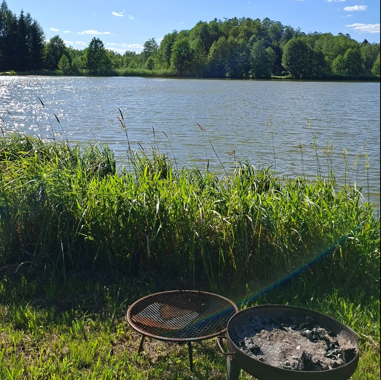 Zdjęcie o orientacji pionowej (proporcje 1:1) ukazuje sielankowy, letni krajobraz nad jeziorem w pełnym słońcu. Na pierwszym planie, na zielonej trawie, znajduje się metalowy grill z popiołem oraz położony obok niego okrągły ruszt. Środek kompozycji wypełnia pas wysokich, soczyście zielonych traw, które przesłaniają widok na taflę wody. Jezioro zajmuje środkową część kadru, lśniąc od odbić promieni słonecznych na swojej powierzchni. W tle rozciąga się gęsty, liściasty las, a całość dopełnia bezchmurne, jasnoniebieskie niebo, co buduje nastrój spokojnego wypoczynku na łonie natury.